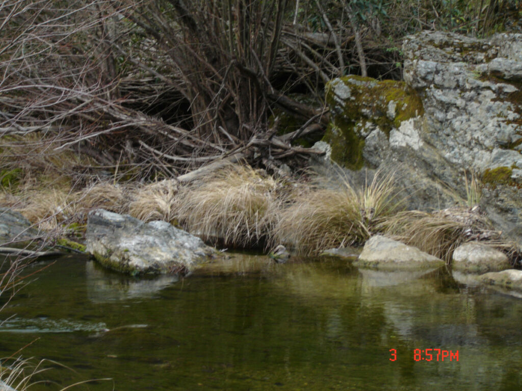 Finca - Cortijo Jubrique Málaga - image 3