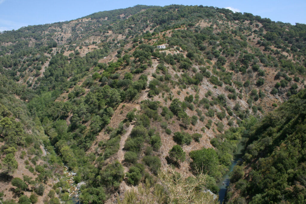 Finca - Cortijo Jubrique Málaga - image 32