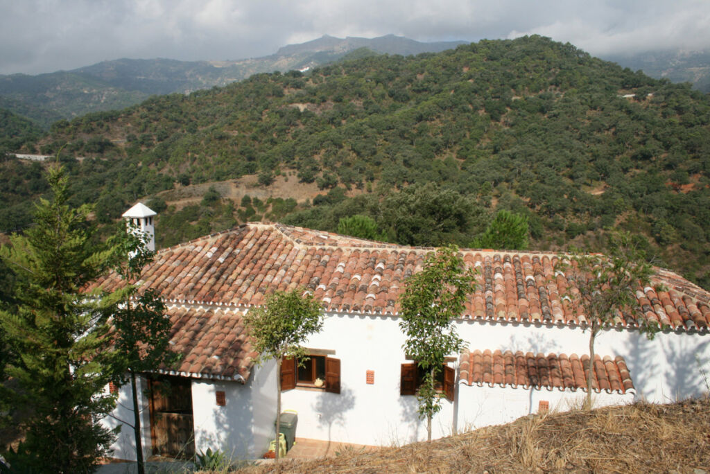 Finca - Cortijo Jubrique Málaga - image 5