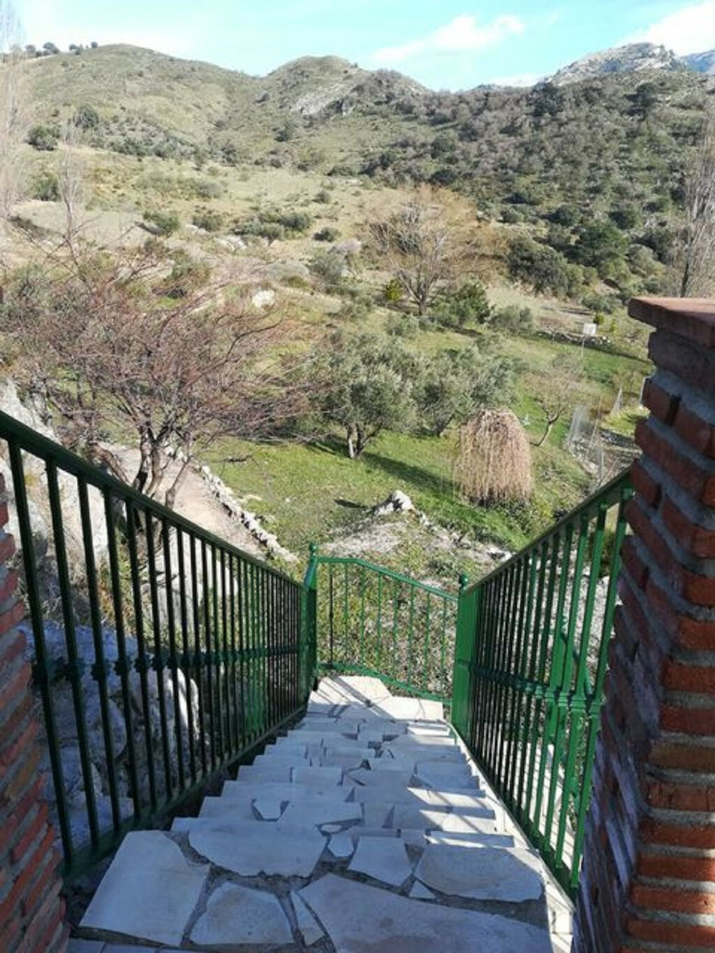 Finca - Cortijo Alcaucín Málaga - image 5