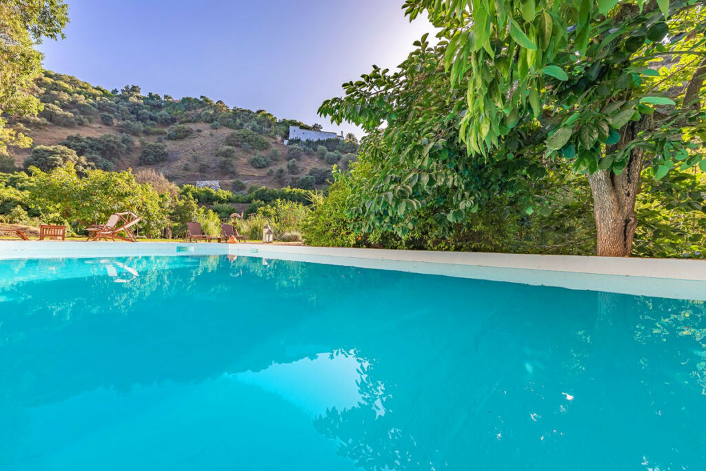 Finca - Cortijo Coín Málaga - image 6