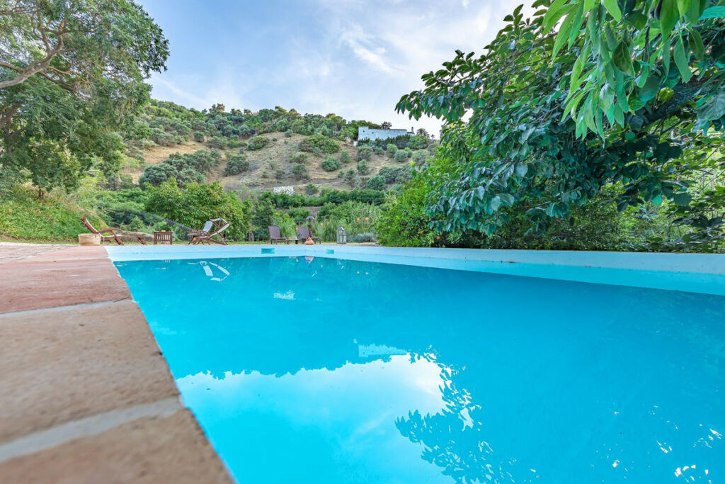 Finca - Cortijo Coín Málaga - image 7