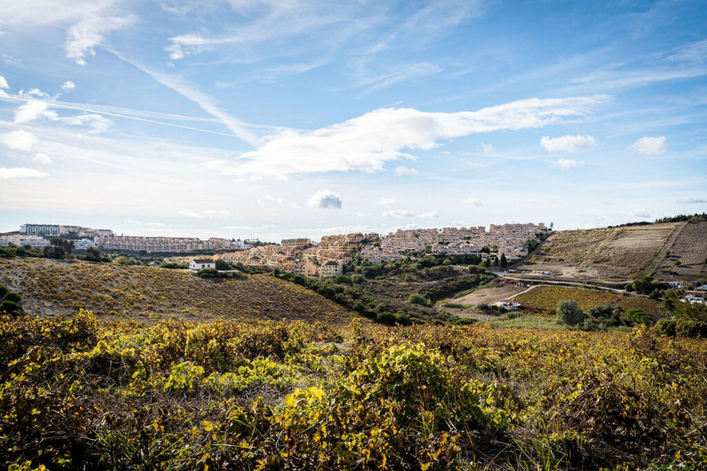 Finca - Cortijo Manilva Málaga - image 11