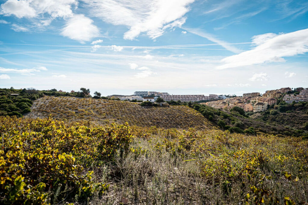 Finca - Cortijo Manilva Málaga - image 12