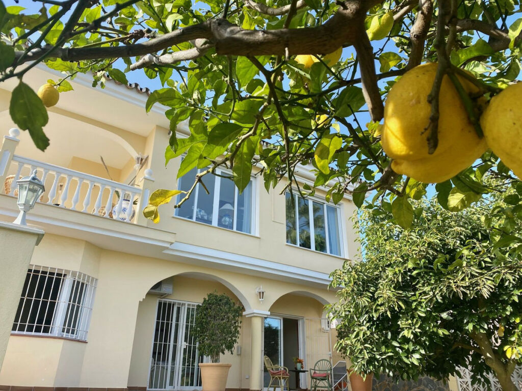 Detached Villa Elviria Málaga - image 14