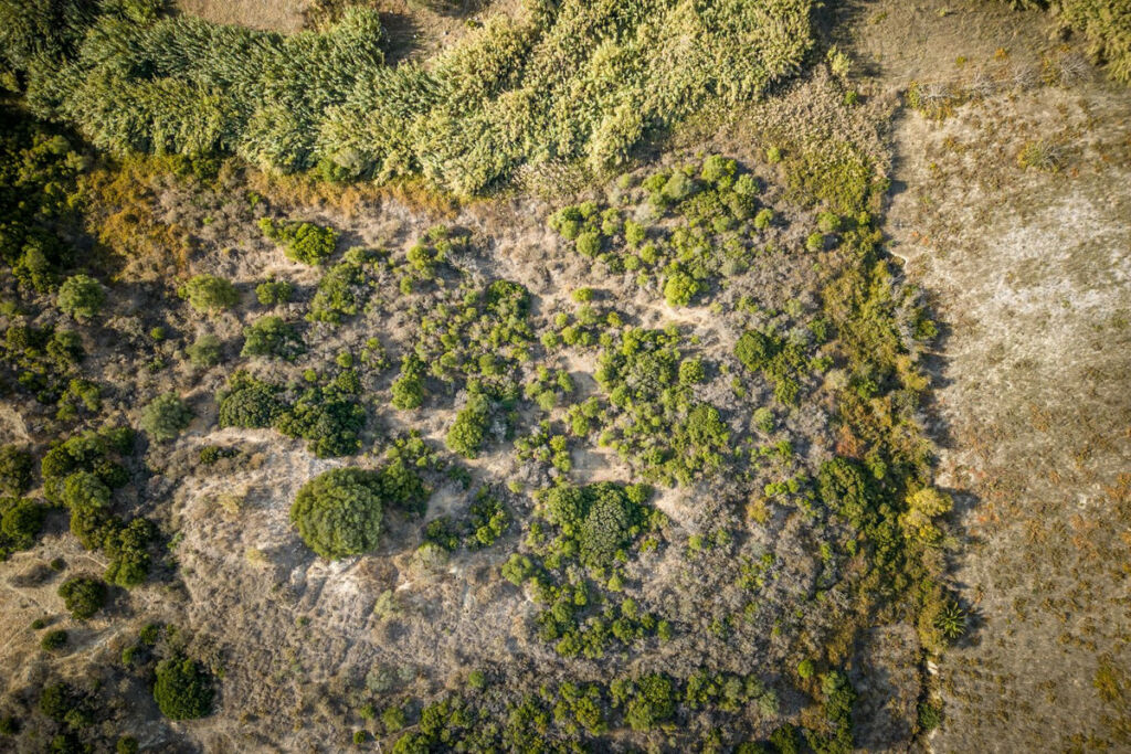 Finca - Cortijo Manilva Málaga - image 15