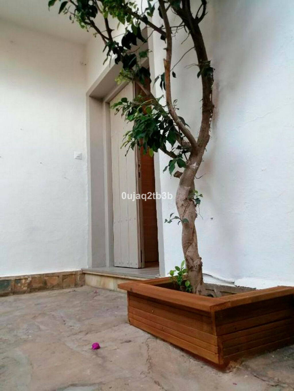Detached Villa Marbella Málaga - image 17