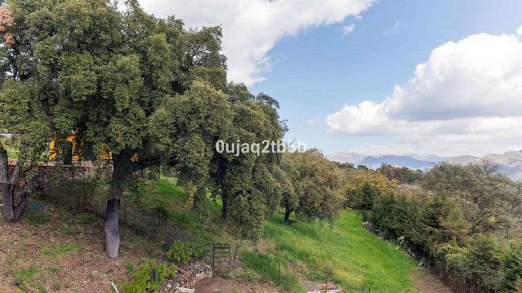 Finca - Cortijo Cortes de la Frontera Málaga - image 18