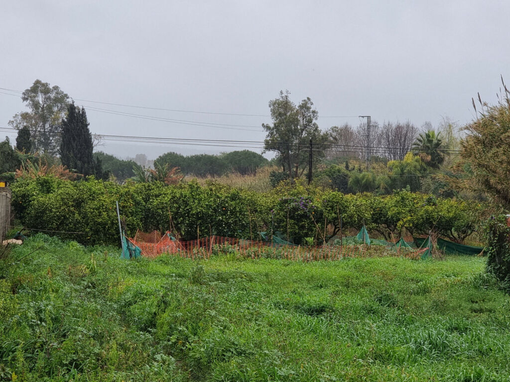 Land San Enrique Cádiz - image 2