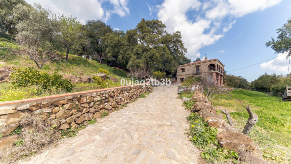 Finca - Cortijo Cortes de la Frontera Málaga - image 20