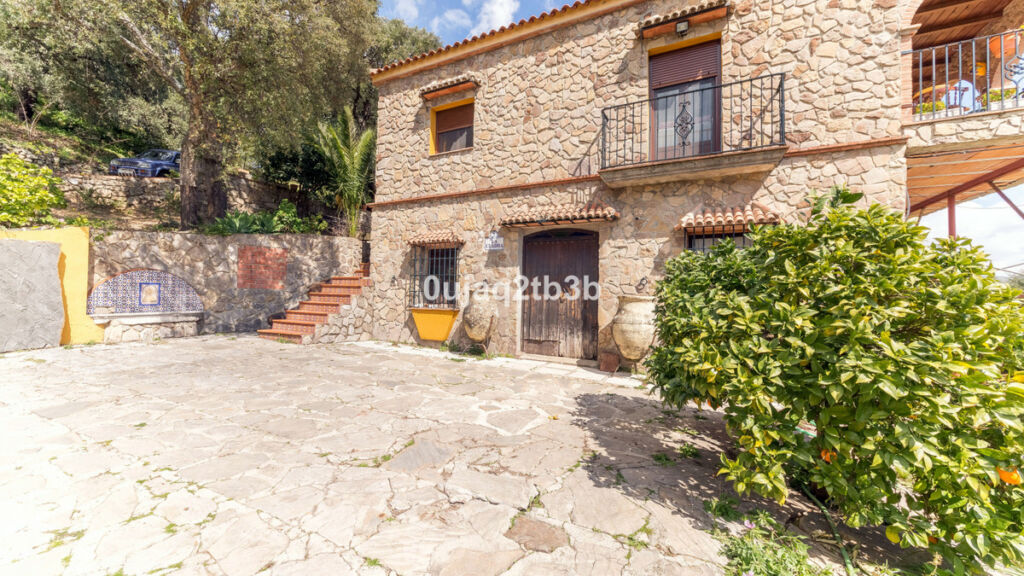 Finca - Cortijo Cortes de la Frontera Málaga - image 21
