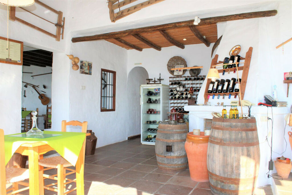 Detached Villa Frigiliana Málaga - image 22