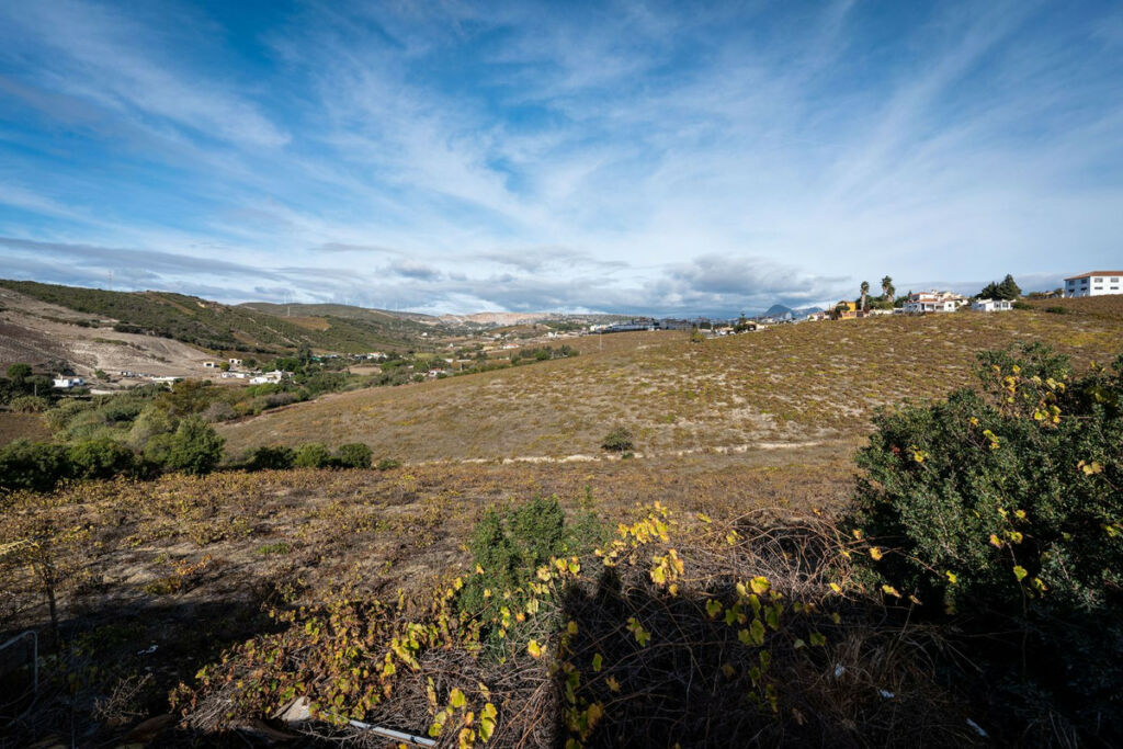 Finca - Cortijo Manilva Málaga - image 3