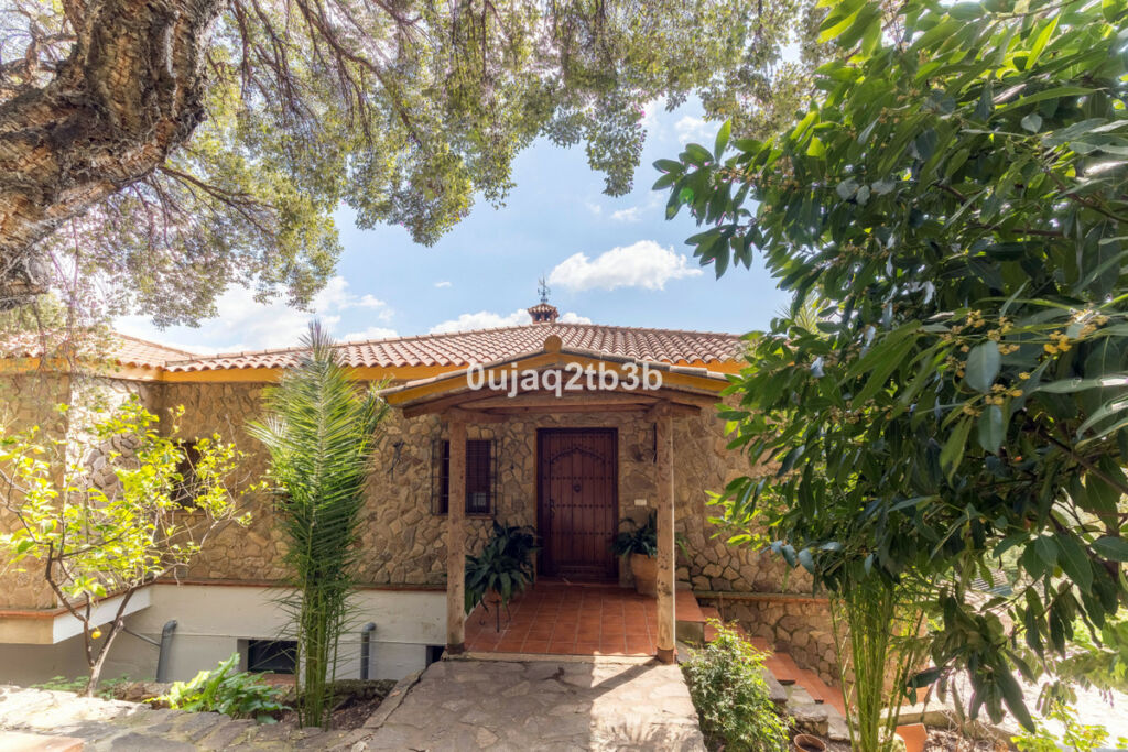 Finca - Cortijo Cortes de la Frontera Málaga - image 3