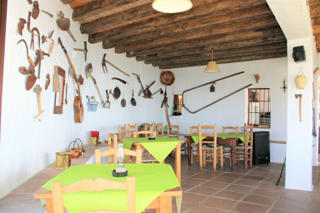 Detached Villa Frigiliana Málaga - image 30