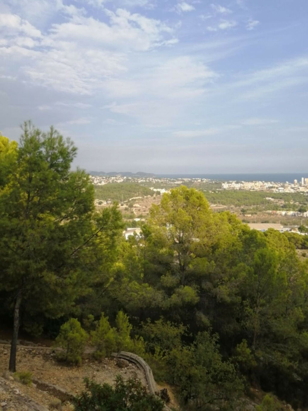 Detached Villa Calpe Alicante - image 4