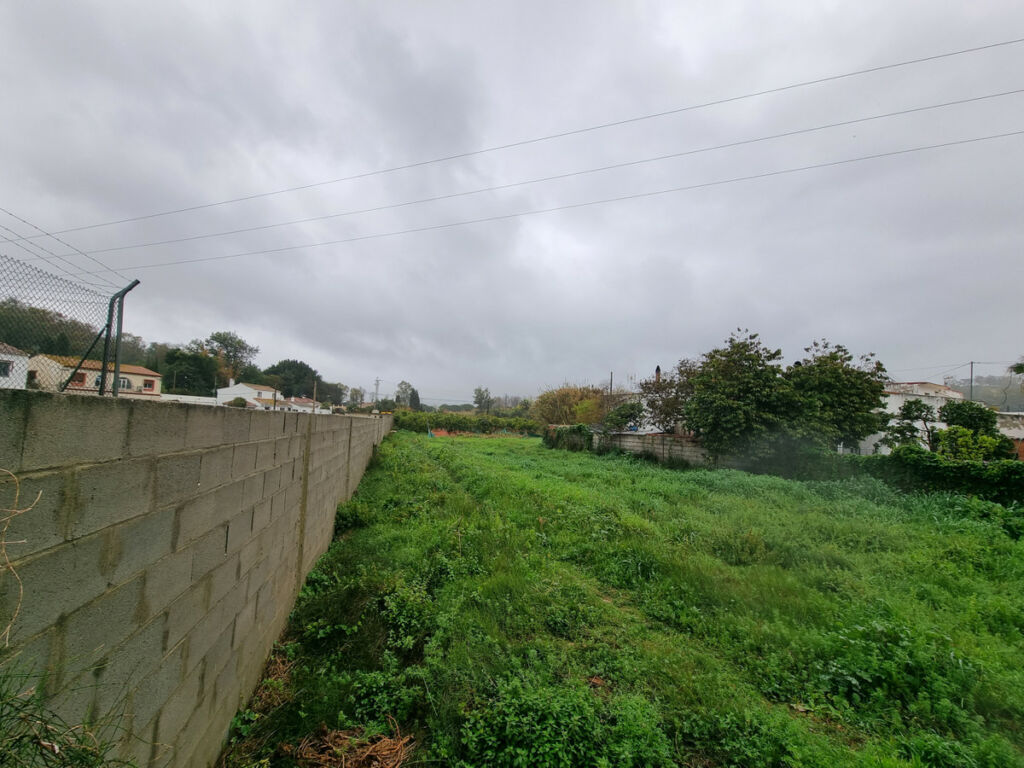 Land San Enrique Cádiz - image 4