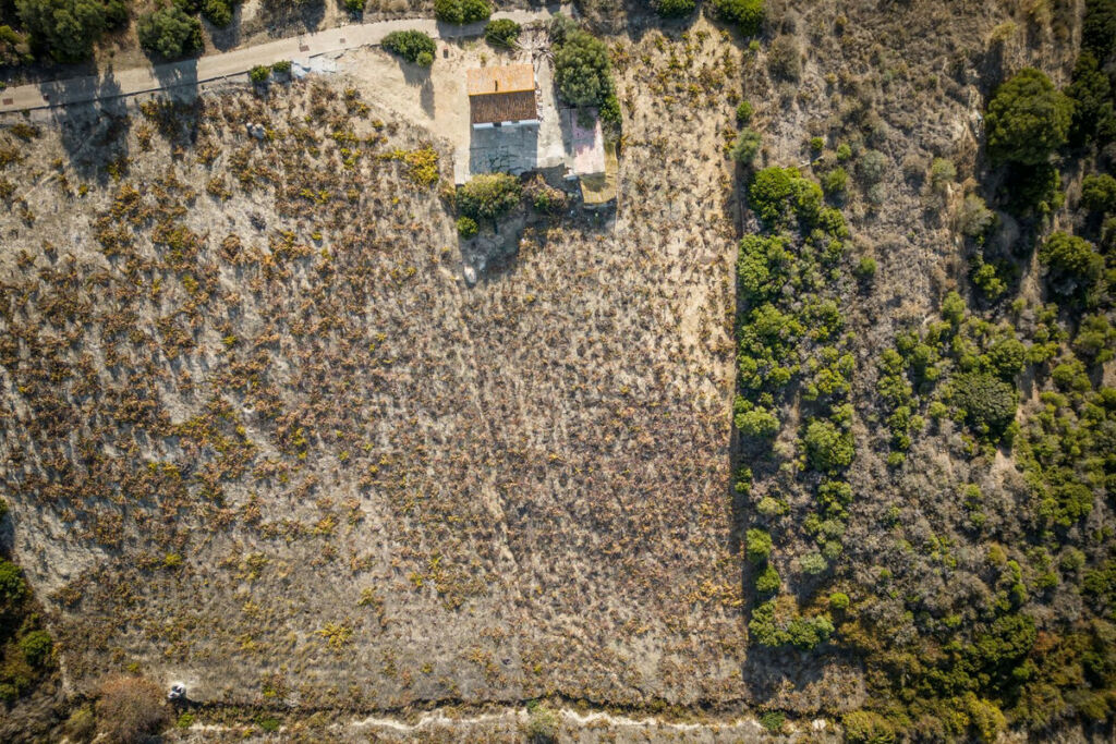Finca - Cortijo Manilva Málaga - image 5