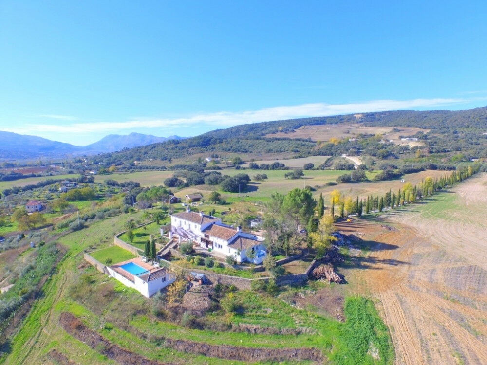 Finca - Cortijo Ronda Málaga - image 6