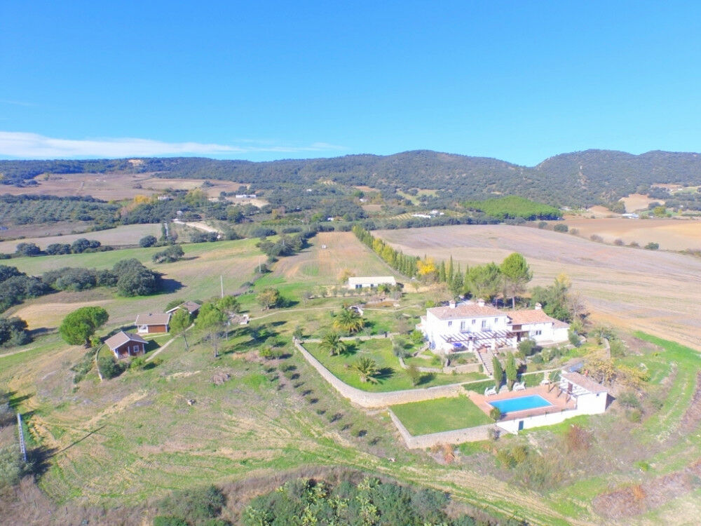 Finca - Cortijo Ronda Málaga - image 7