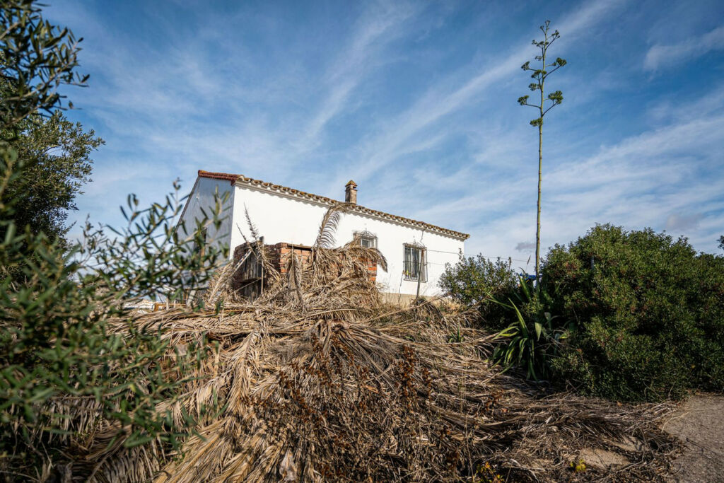 Finca - Cortijo Manilva Málaga - image 8