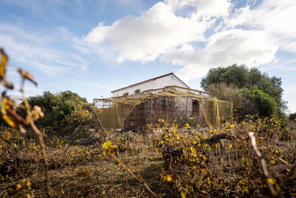 Finca - Cortijo Manilva Málaga - image 9