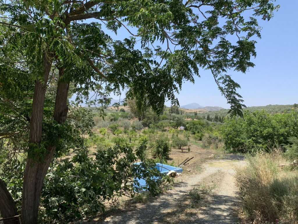 Land Coín Málaga