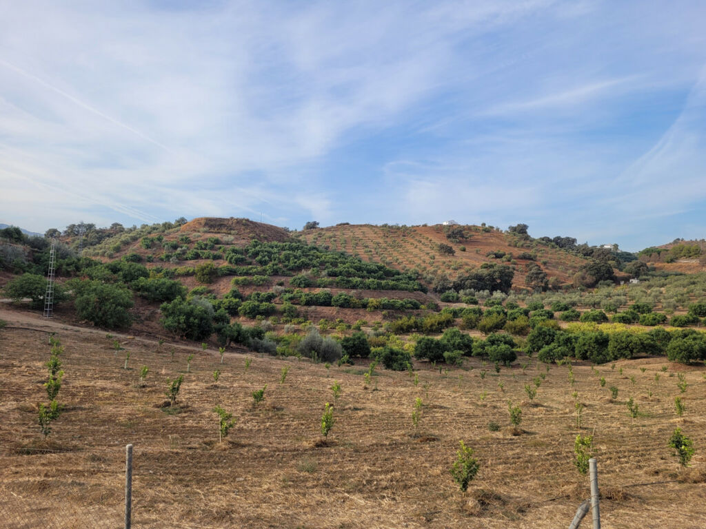 Land Guaro Málaga