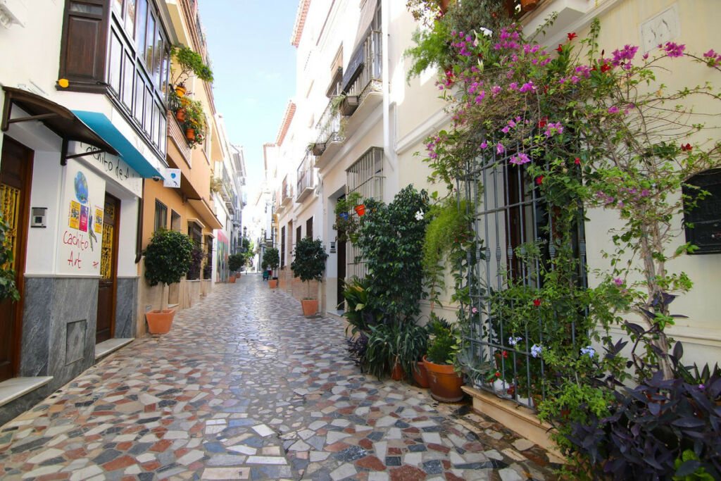 Residential Plot Coín Málaga - image 10