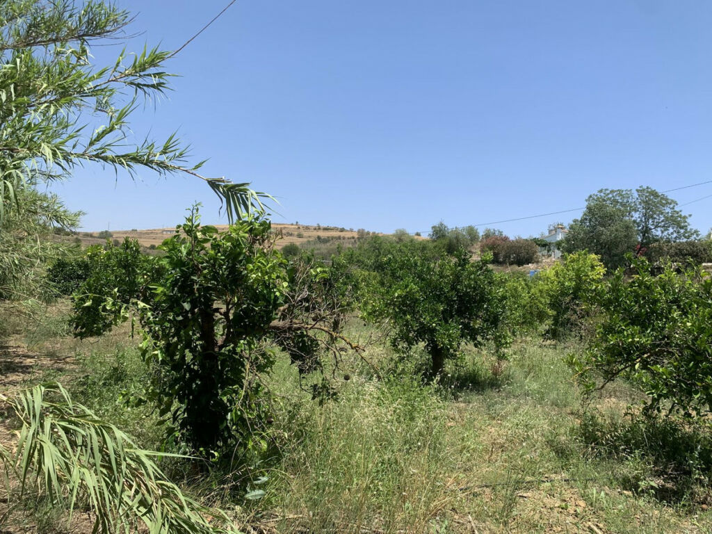 Land Coín Málaga - image 11