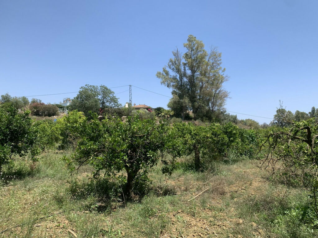 Land Coín Málaga - image 12