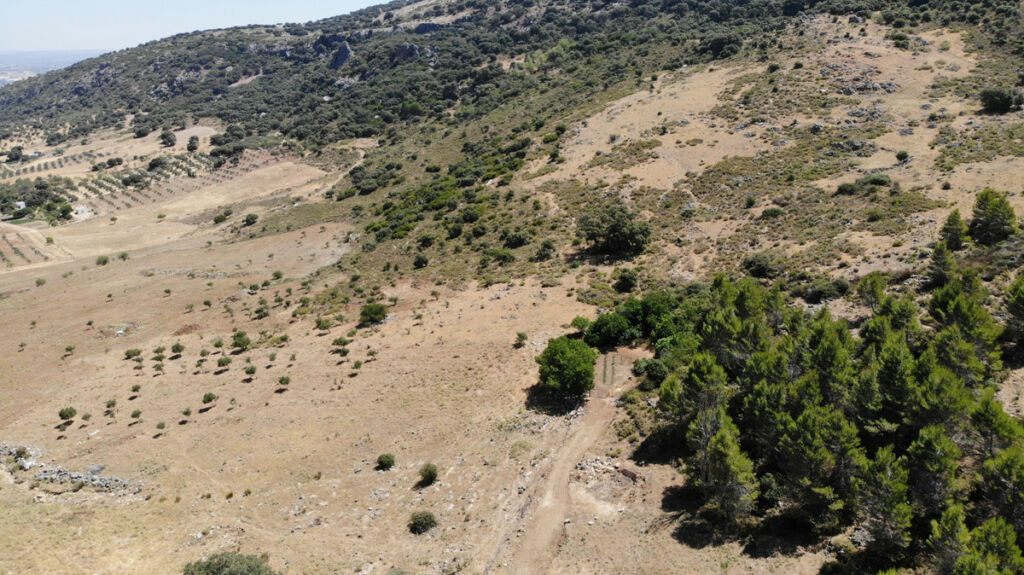 Land Ronda Málaga - image 15