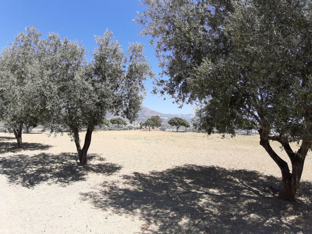 Land Mijas Málaga - image 15