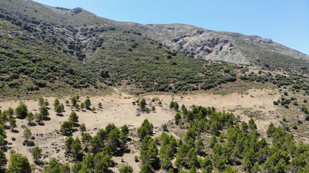 Land Ronda Málaga - image 16
