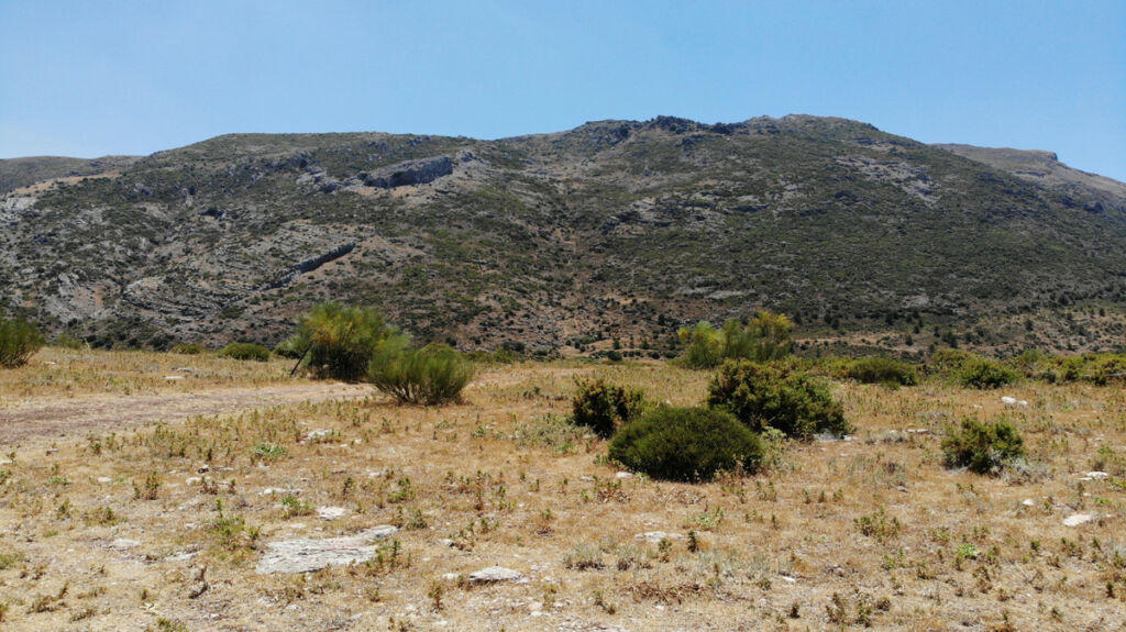Land Ronda Málaga - image 17