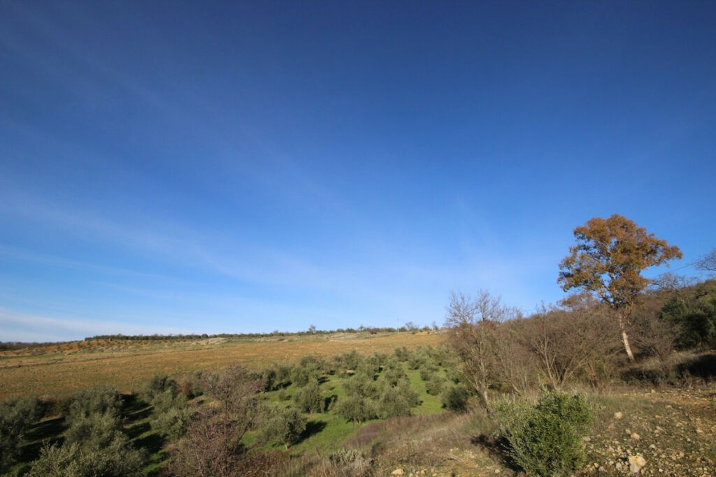 Finca - Cortijo Ronda Málaga - image 19