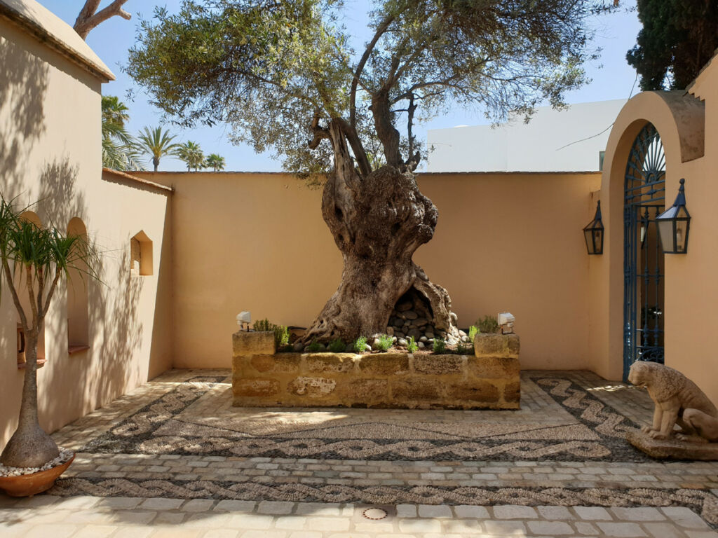 Detached Villa Los Monteros Málaga - image 19