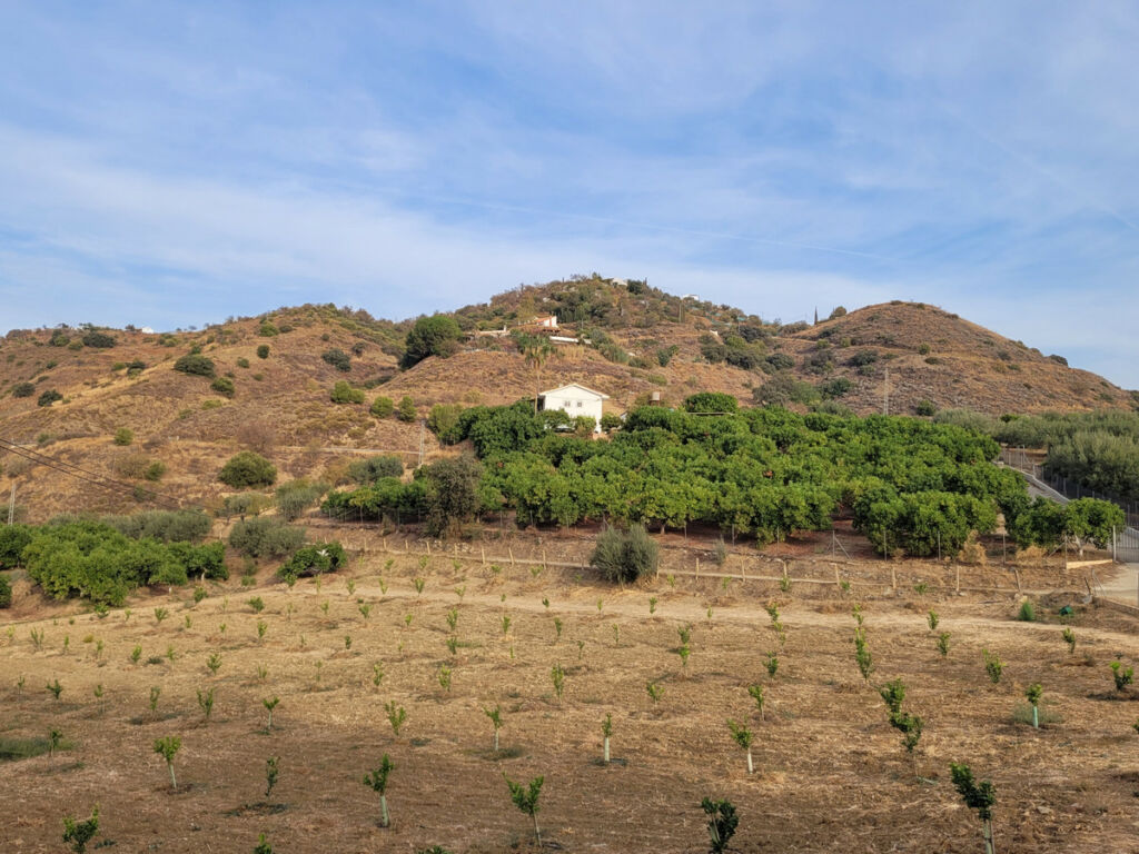 Land Guaro Málaga - image 2