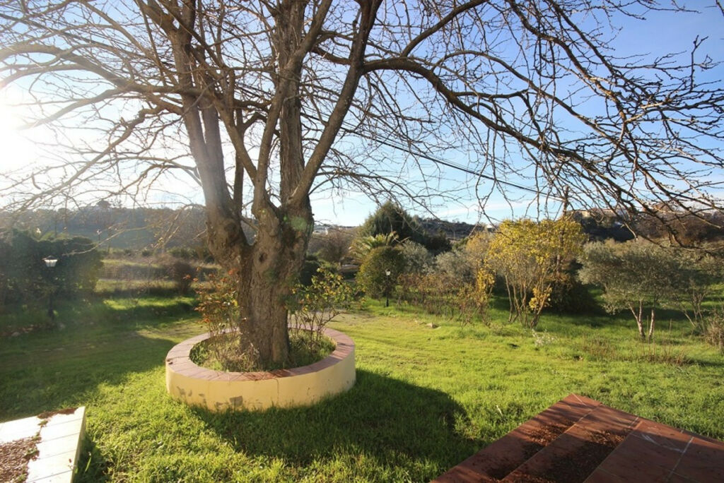 Finca - Cortijo Ronda Málaga - image 22