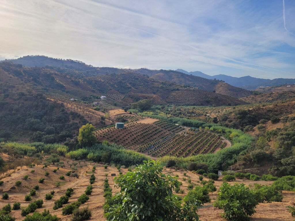 Land Guaro Málaga - image 4