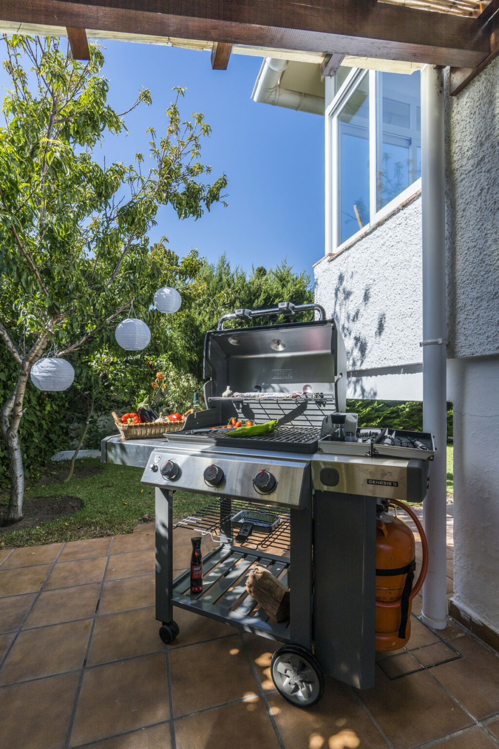 Detached Villa Elviria Málaga - image 48