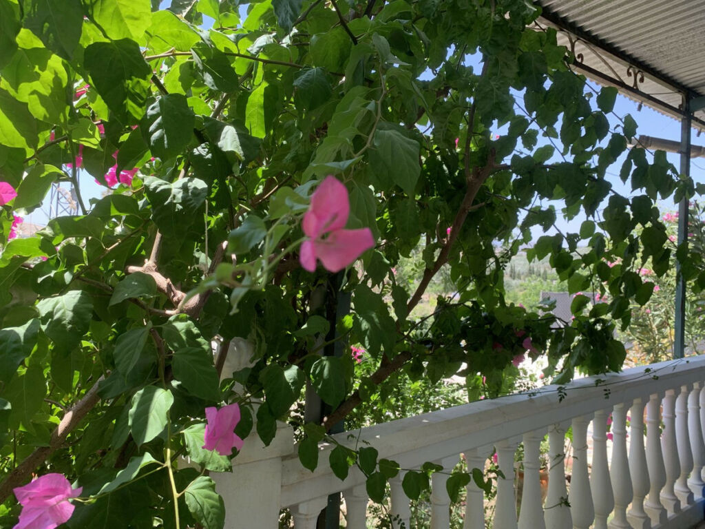 Land Coín Málaga - image 5