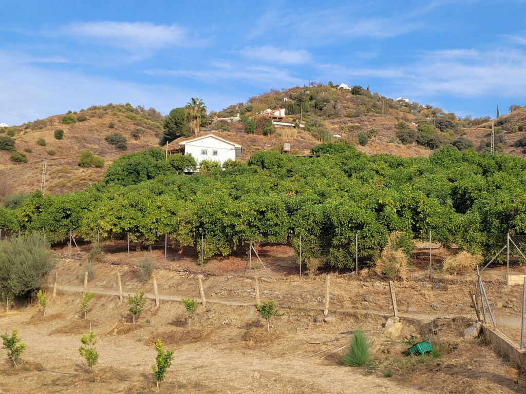 Land Guaro Málaga - image 6