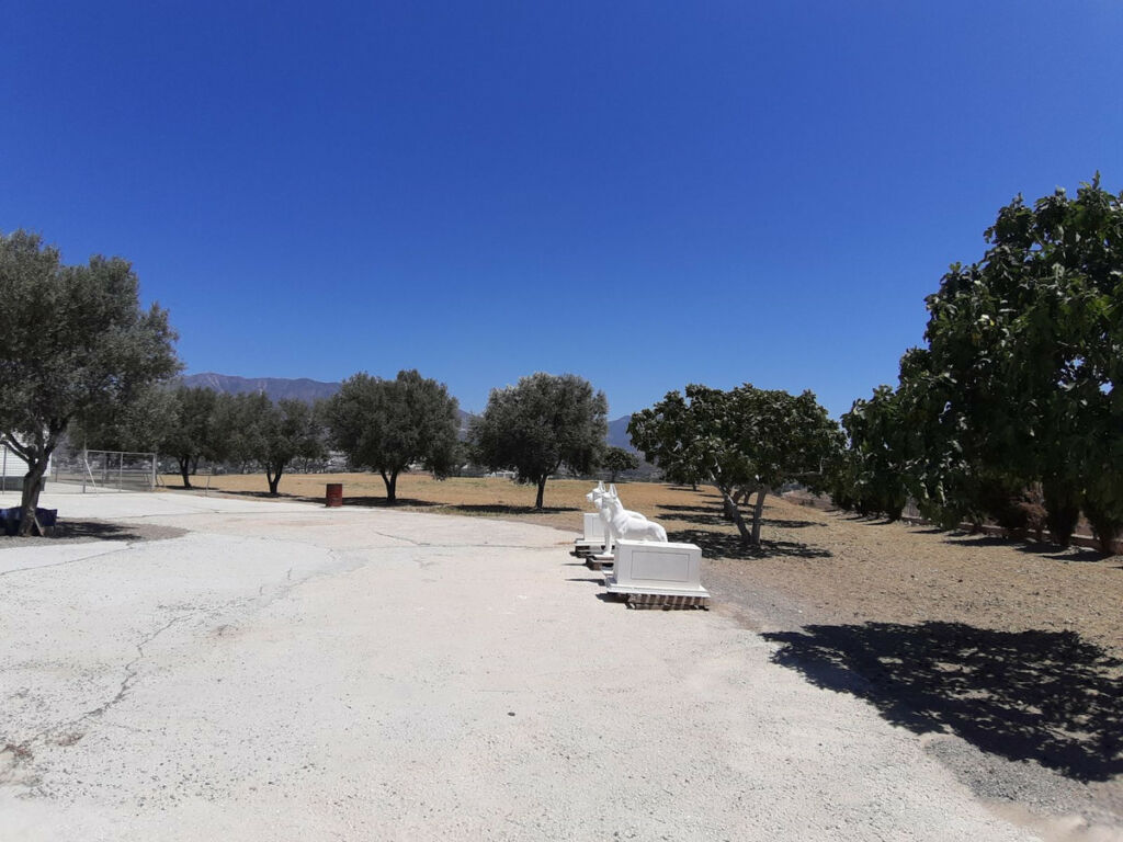 Land Mijas Málaga - image 6