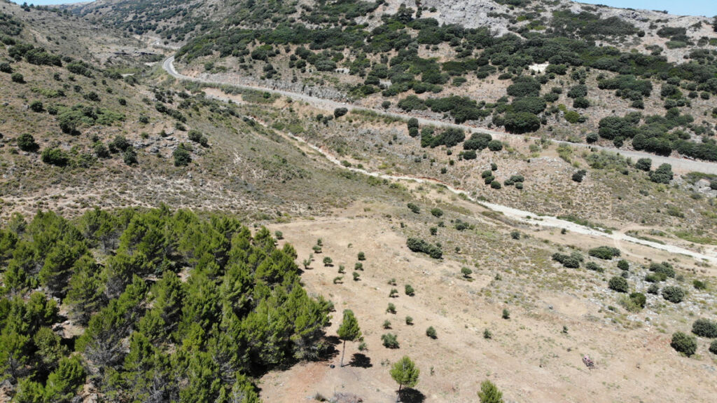 Land Ronda Málaga - image 7