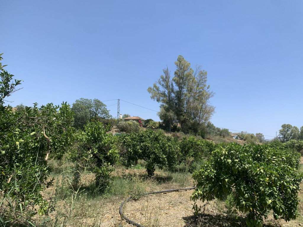 Land Coín Málaga - image 8