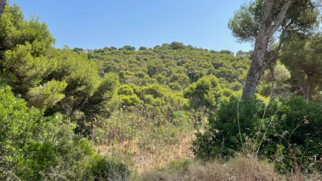 Land Javea Alicante