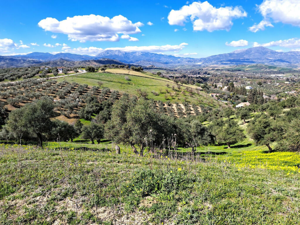 Land Coín Málaga