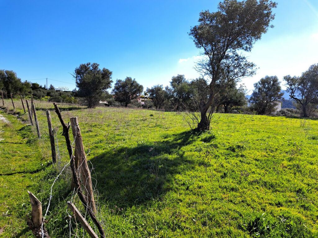 Land Coín Málaga - image 10