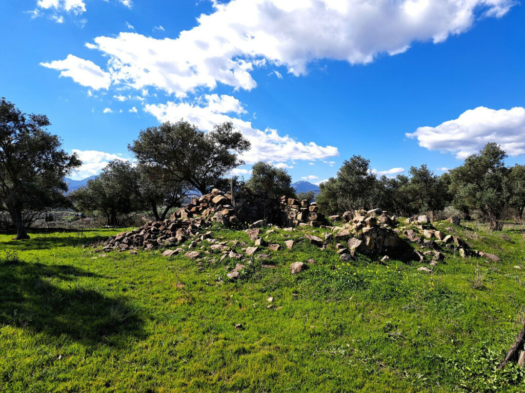 Land Coín Málaga - image 11
